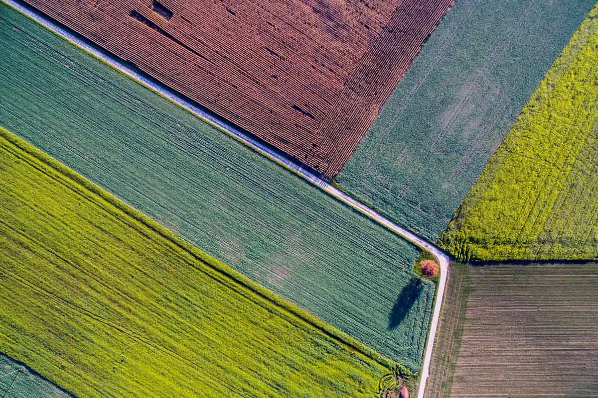 Aerial shot of rural fields.